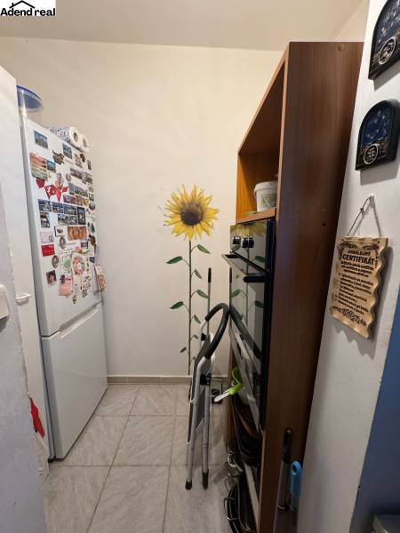 WhatsApp Image 2026-04-02 at 10.43.55 (2).jpeg