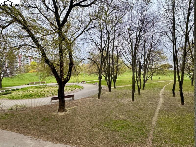 WhatsApp Image 2026-04-02 at 10.43.56 (3).jpeg