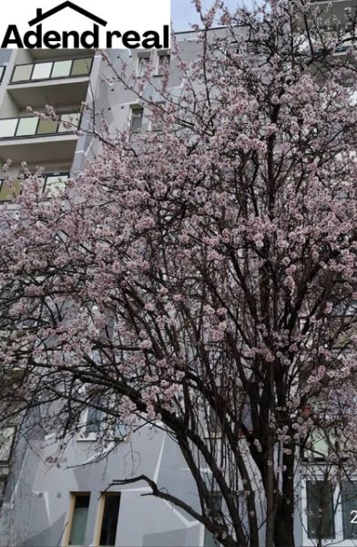 Súmračná foto.jpg